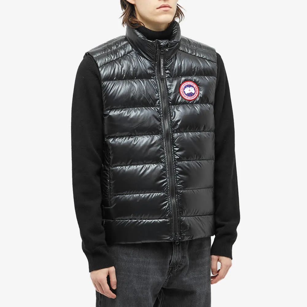 Crofton West Canada Goose