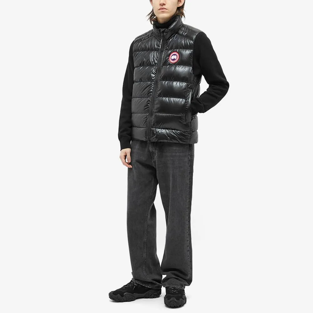 Crofton West Canada Goose