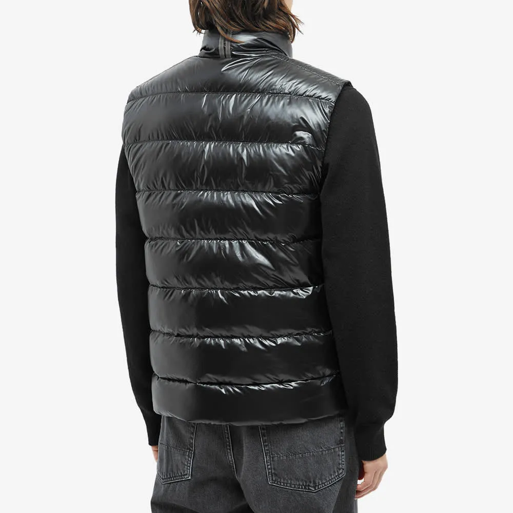 Crofton West Canada Goose