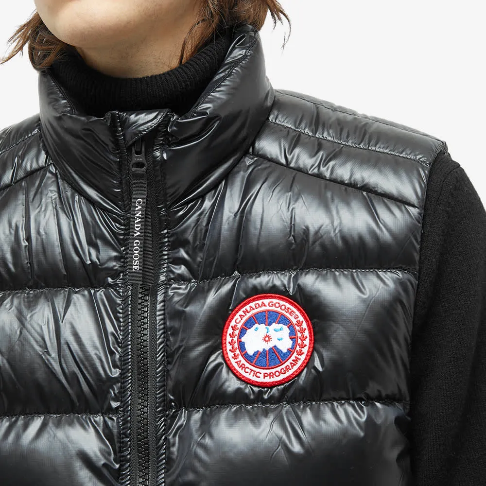 Crofton West Canada Goose